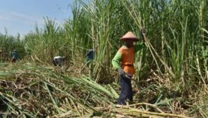 WhatsApp Image 2025-12-11 at 14.02.35_75d7189d